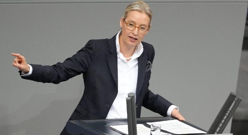 Alice Weidel, az AfD társelnöke New Yorkban találkozik Elon Muskkal