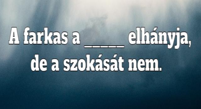 Napi közmondás feladat: Ki tudod egészíteni?