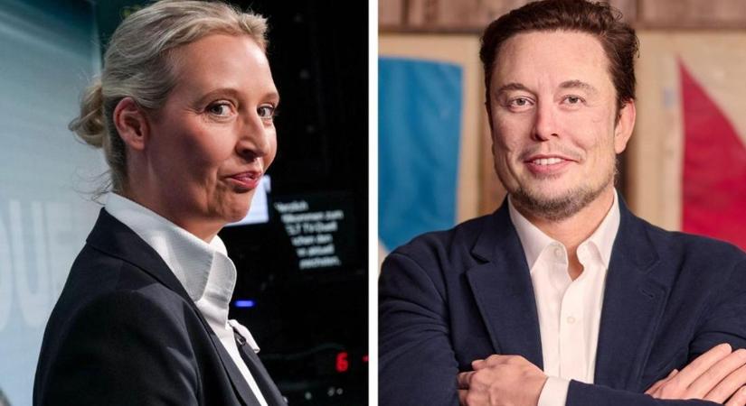 Itt a dátum: ekkor beszélget az AfD elnökével Elon Musk