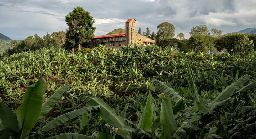 Harminc évvel a népirtás után Ruanda lenne Afrika mintaországa? Második rész