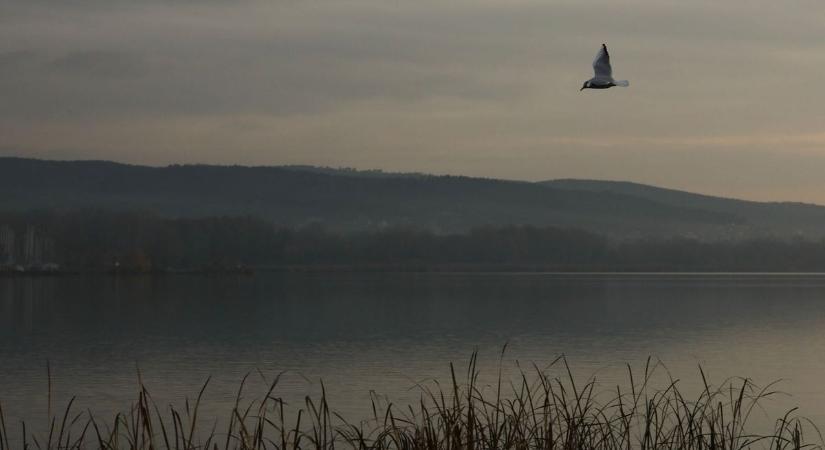 Rendkívüli hőmérsékleti kontraszt a Balatonnál