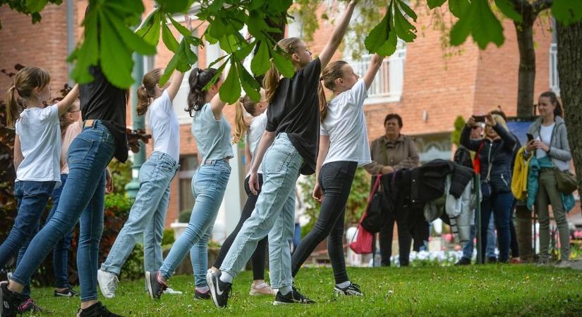 Idén már kizöldülhet a gyöngyösi Miyawaki minierdő