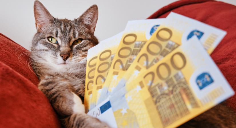 Furcsa számokat húztak ki az európai szuperlottón: rengeteg magyar bosszankodhat, hajszálra volt a jackpot