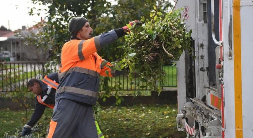 Kéthetente szállítják el Dombóvárról a zöldhulladékot