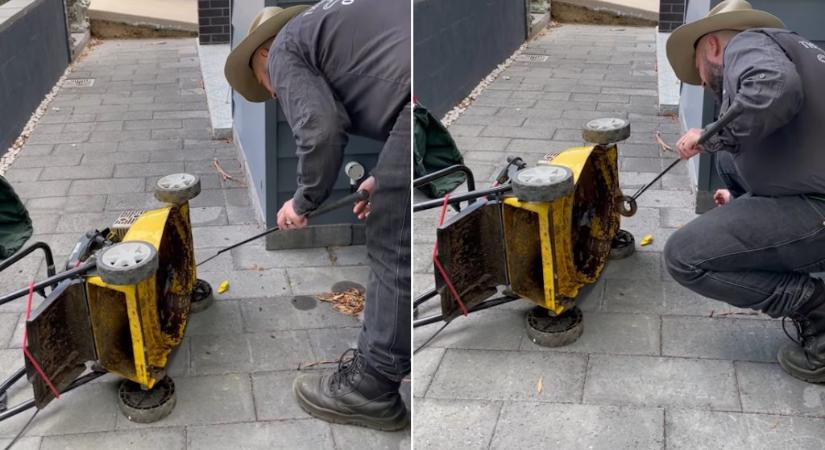 Videó: a világ egyik legveszélyesebb kígyója dekkolt a fűnyíróban