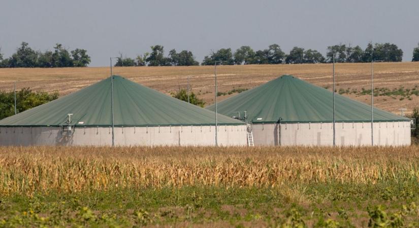 A szákszendi sertéstelep tragédiája megrázta a vármegyét