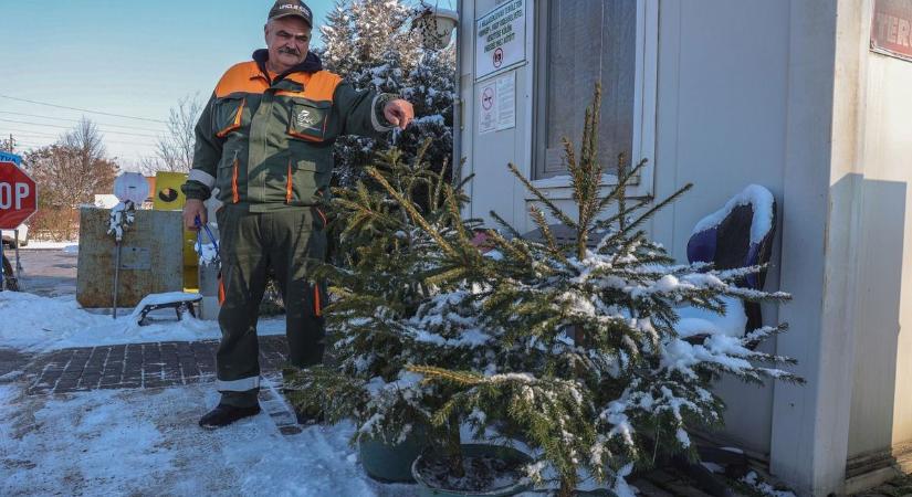 Ajándékot és utalványt is kaphatunk a karácsonyfánkért