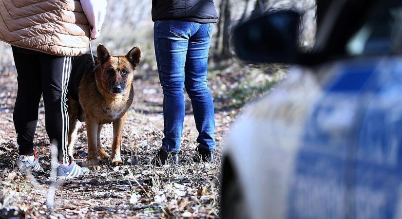 Brutális állatkínzás: autó után kötöttek, úgy húztak egy kutyát Jánoshalmán – galériával, videóval