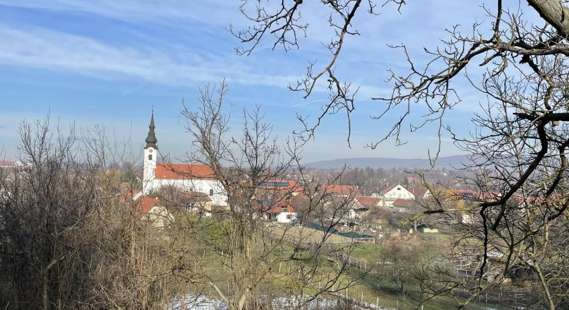 Téli varázsvilágra leltünk a Pátyi Pincehegyen – a főváros tövében kirándultunk