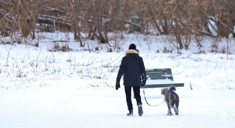 Ítéletidő van, hetvenmillió ember szenved az Egyesült Államokban tomboló hóviharok miatt