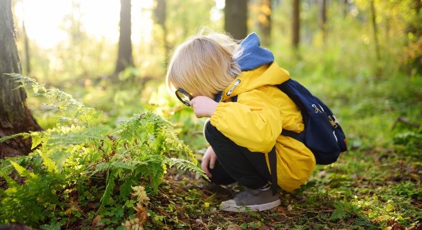 Szülői értekezlet helyett szülői est, feleltetés helyett közösségi tanulás - ilyen egy Waldorf iskola belülről