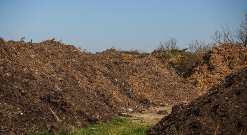 Sárvár mellett, Natura 2000-es területen rakott le szemetet rendszeresen 7 férfi