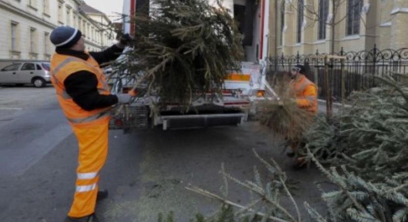 Indul a fenyőfajárat, itt vannak karácsonyfa-gyűjtőpontok a II. kerületben