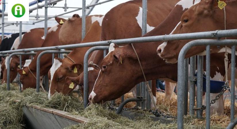 Szükségállapotot hirdettek a járvány terjedése miatt