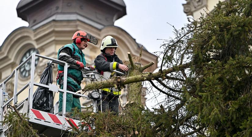 Elbontották Eger karácsonyfáját a Dobó téren, kiderült, mi lesz a sorsa