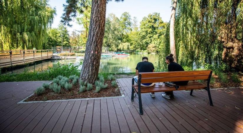 Új vezető a miskolci idegenforgalom élén