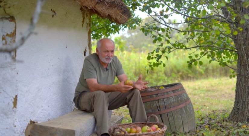 Kovács Gyula és az 1100 ősi almafa