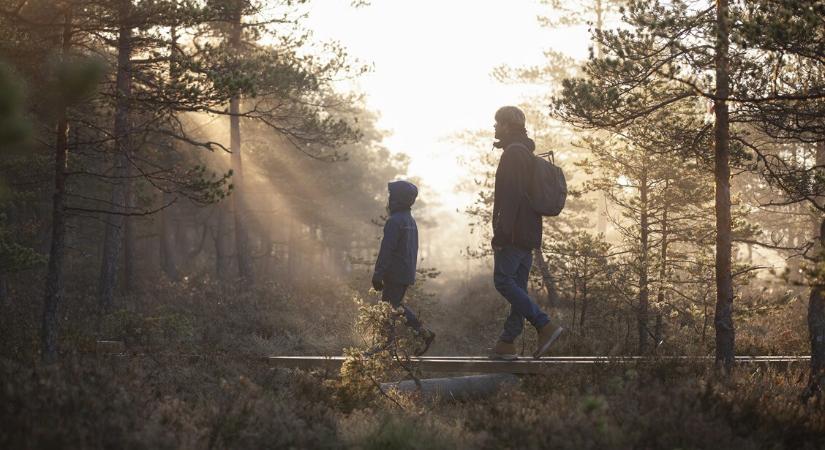 Orvosmeteo: ma akár 16 fok is lehet, de aztán jön a fordulat