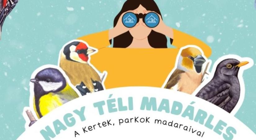 Újra itt a várva-várt Nagy Téli Madárles – Értékes adatokkal segíthet