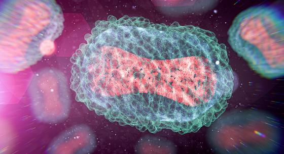 Franciaországban is megjelent a majomhimlő fertőzőbb változata