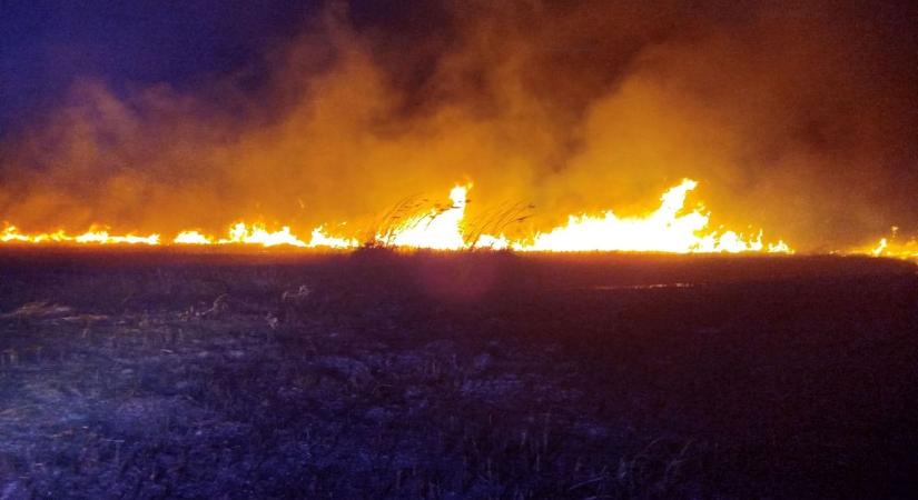 Több mint 10 hektáron lángolt a nádas a Marcal-parton - Három vármegye tűzoltói vonultak a helyszínre