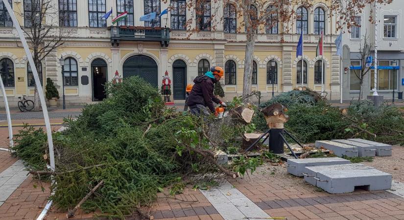 Szociális tüzelő lett Békéscsaba karácsonyfájából