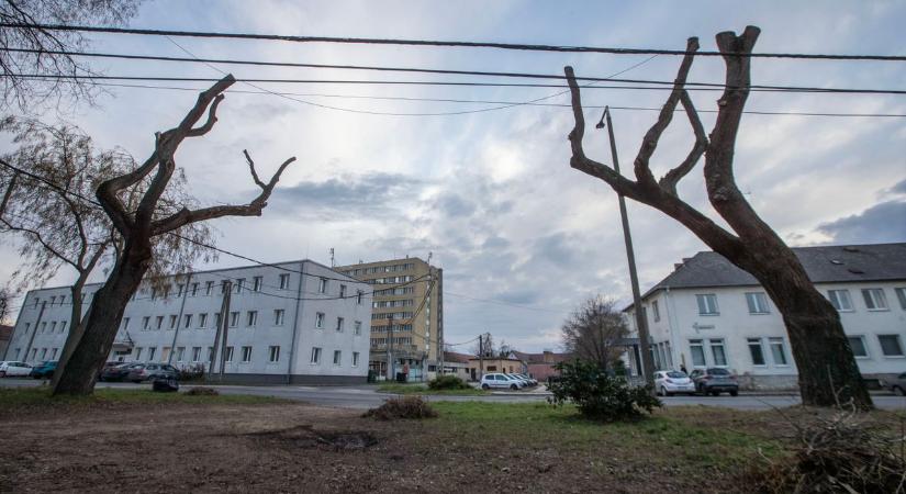 Fasorfenntartási munkálatok zajlanak a Malom utcában