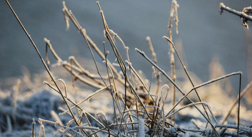 Napsütés, eső és szél is várható a hét folyamán