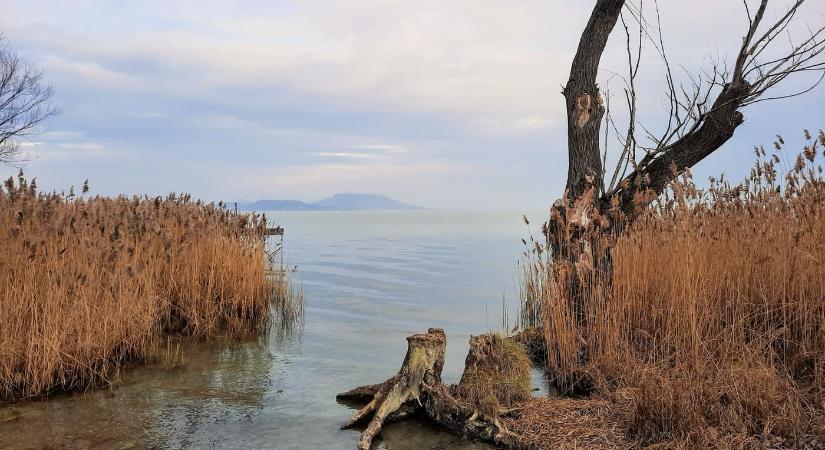 Ahol a csend mesél: a Soós-öböl varázslata Balatongyörökön