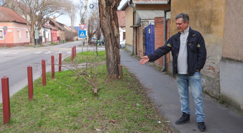 Forgalmas út mellett maradt magára újraélesztés közben – videóval