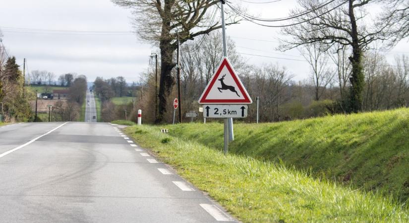 Vaddal ütközött két autó Zalaegerszegnél