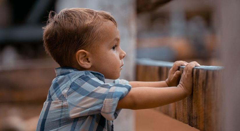 Parentifikáció: Amikor a gyermekből „kényszerszülő” lesz