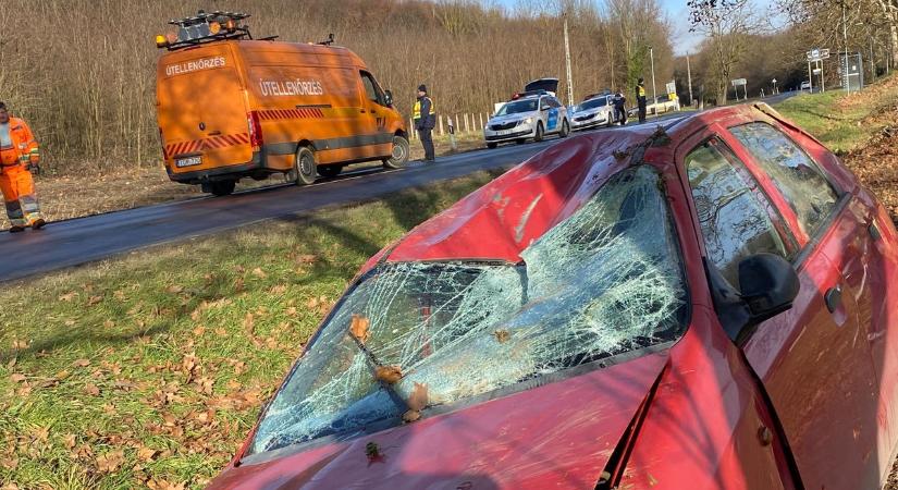 Szarvasokkal ütköztek Zalában, az állatok kereket oldottak – helyszíni fotókkal és videóval