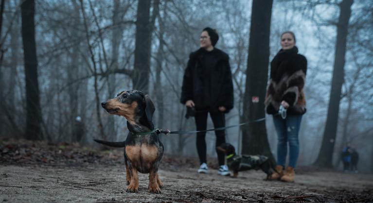 Január első hétvégéjén is izgalmas programokat kínál a főváros