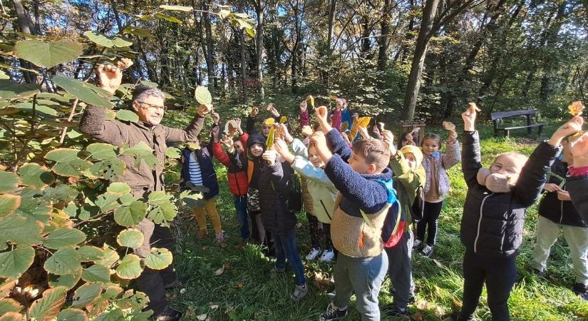 Az erdőben játszva tanulhatnak a természetről az óvodások és iskolások