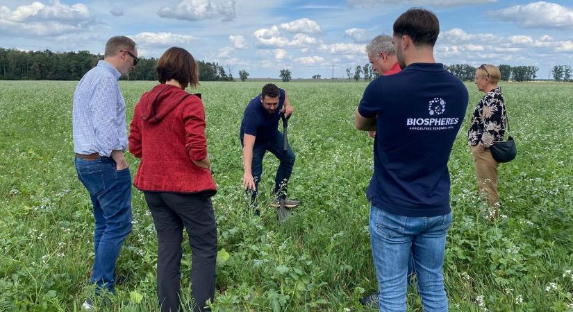 Amerikai élelmiszeripari óriás: egymillió hektárra vonatkozó megállapodást kötött – így érinti a magyar gazdákat