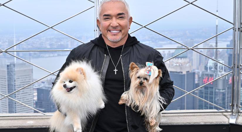 Cesar Milan szerint megmentheted a házasságodat, ha úgy kommunikálsz, mint egy kutya