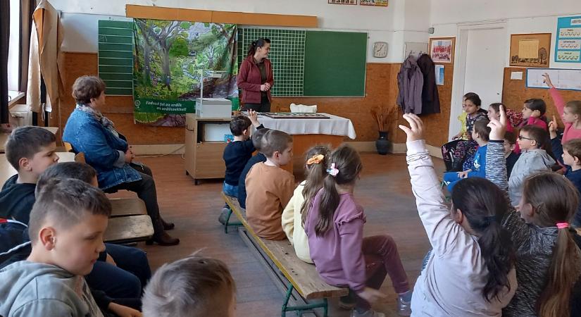 Iskolában az erdő: csaknem ötezer hajdú-bihari diák vett részt a programon tavaly