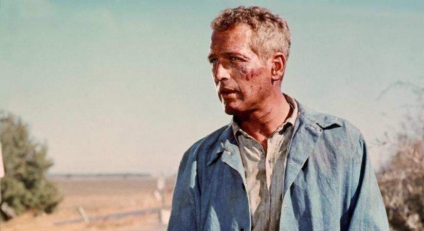 Öt ikonikus filmjével idézik fel a 100 éve született Paul Newman életművét