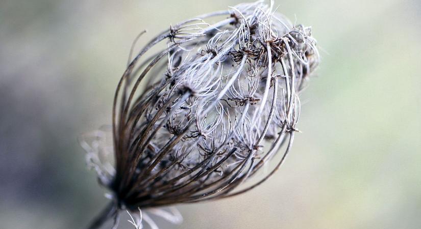 Borsodban 10 Celsius-fokot csökken a hőmérséklet