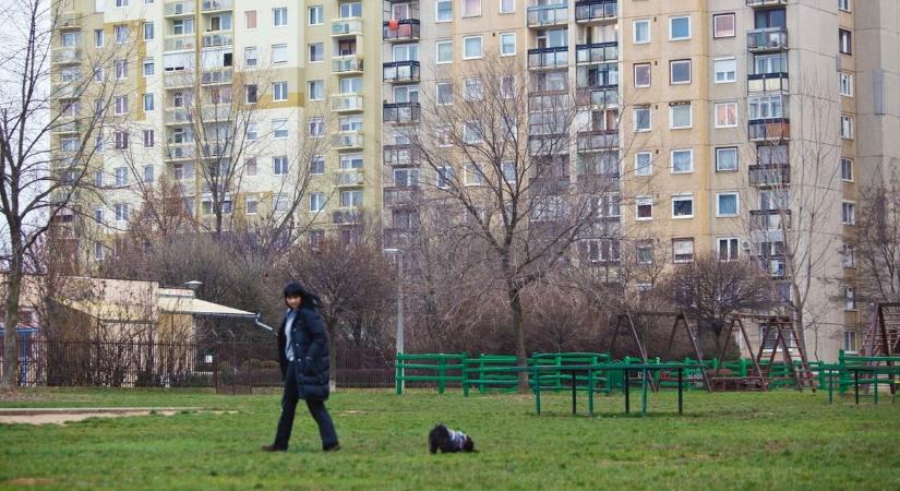 Ingatlant vennél Nyíregyházán? Mutatjuk, mennyire kell zsebbe nyúlni!