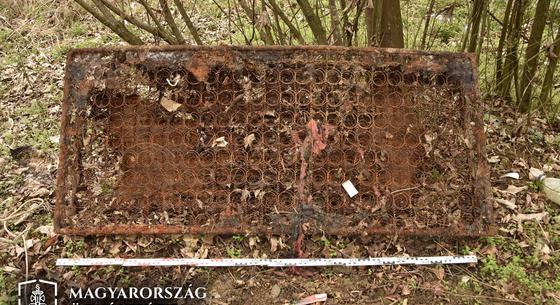 Agyonverte élettársát, majd felgyújtotta és feldarabolta a holttestet egy zalaegerszegi férfi