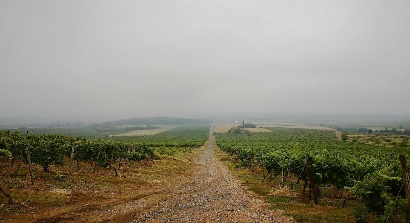 Mégis nyomoznak az oldalanként 226 ezres tokaji tanulmány ügyében