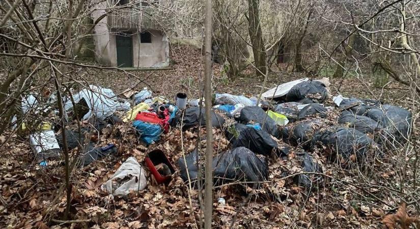 Megszórták háztartási szeméttel a felújított erdei utat Sajószentpéteren - fotók