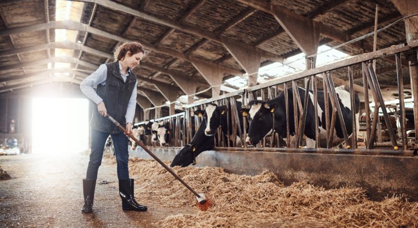 Itt a felmérés arról, elegendőnek tartják-e a termelők az uniós támogatásokat