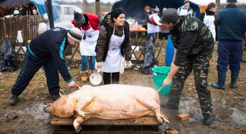 Hagyományőrző disznótor is lesz a debreceni vásárban