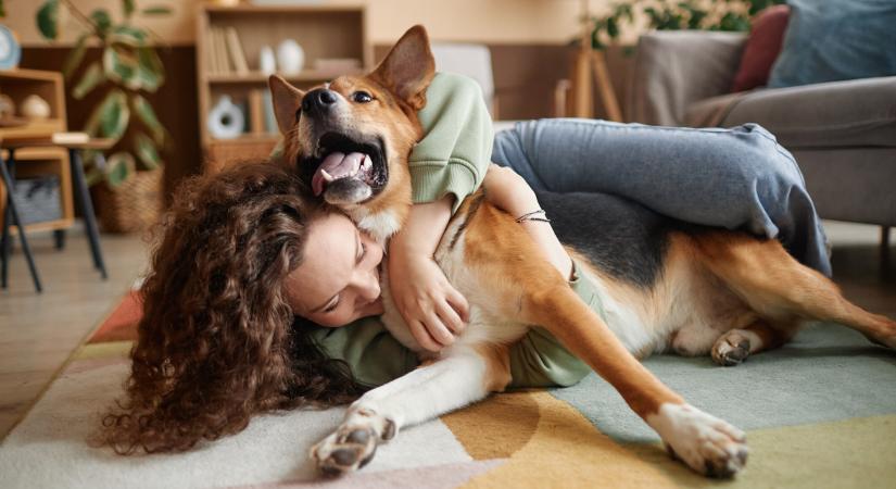 Felnőtt színező vagy egy kutya: melyik a jobb stresszcsökkentő?