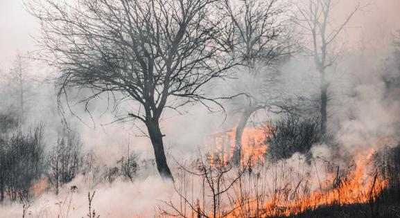 Tovább tombol a kaliforniai tűzvész