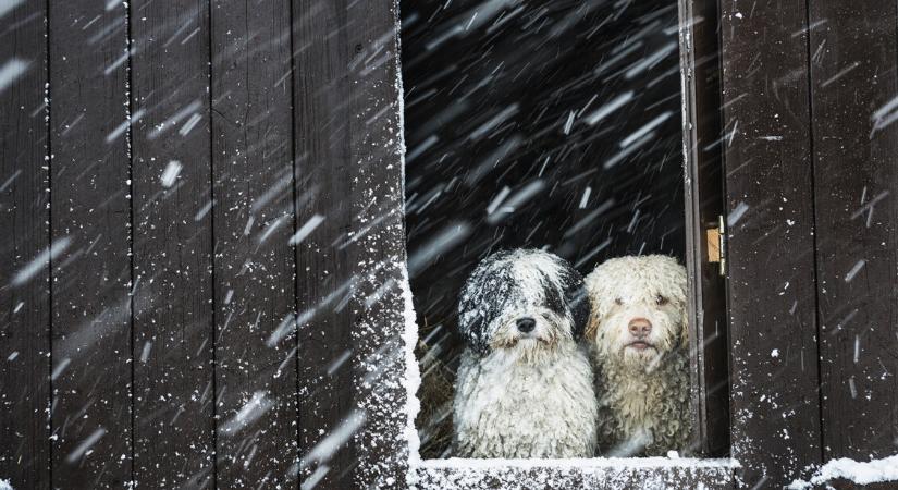 Orvosmeteo: 10 fokot zuhan a hőmérséklet