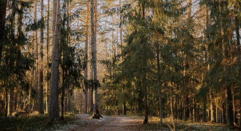 Négyhetes előrejelzés: ilyen idő várható február közepéig